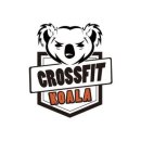크로스핏 코알라 이미지