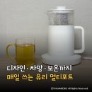 유리 전기포트 추천 세척 편한 단미 멀티 티포트 후기
