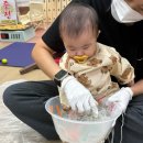 리틀부쳐 | 천안 이마트 문화센터 리틀자이언트 촉감놀이 수업 후기(5~11개월)