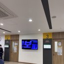 아이베스트 | 신생아 딤플 초음파 털 베스트아이들병원 실비 가격 후기