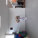 용인대 파랑 태권도장 이미지