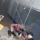 형치 이미지