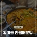 강마을매운탕 | 안산 와동맛집, 강마을민물매운탕 솔직 후기