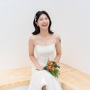 510팔레트 이미지