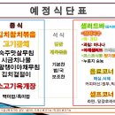 조이푸드 이미지