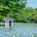 공원플라워 이미지