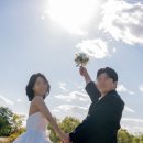 소유필름 - 안성시 벚꽃길 36 | 야외 웨딩 스냅 촬영 솔직 후기!! '소유필름'