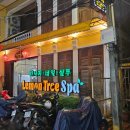 레몬트리 | 호이안 올드타운 마사지 | 아이와 호이안 키즈 마사지 레몬트리 스파 후기