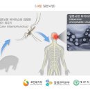 주요 모기 매개 감염병 발생 현황과 주요 특징 이미지