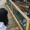 호우목장 이미지