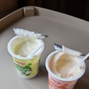 영지유치원 | 태국 치앙마이 DAY5| 징짜이마켓 쇼핑 음식추천 ,굿굿즈, 넹무옵옹, 참자마켓