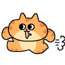 아카시아 약국 이미지