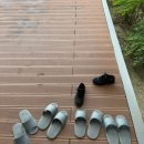 스테이인터뷰 | 세종 반려견 동반 독채 펜션 추천! &#34;스테이인터뷰 노호&#34; [D동] 이용 후기