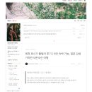 6 | 노마케터스 블로그 챌린지 내돈내산 6주 수강 후기