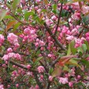 한아름홈쇼핑(주) 이미지