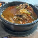 파라노바