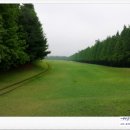 인천그랜드컨트리클럽 이미지