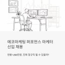 남다른 성과로 증명하는 퍼포먼스마케터의 전략 | 에코마케팅 퍼포먼스 마케터 신입 채용 | 연봉 4,500만원, 진짜 정규직 될 수 있을까?