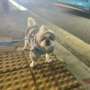 예본농장 | 24.11 가을만끽(체질검사를하다)