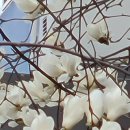 나오늘어때 - 광산구 | 나오늘어때