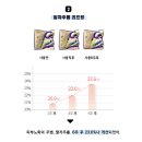 오로라 플러스 이미지