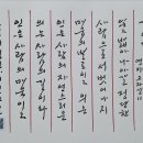 인의 Daum카페