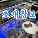 한들안경 | 천안 조개창고 조개구이 뿌신 후기 (백석동 무한리필 맛집)