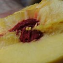 미륵산농장 이미지