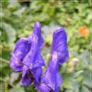 하늘정원2 이미지