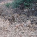 우당탕하우스 이미지