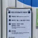 함께놀개 | 춘천 반려견 놀이터 대형견 중소형견 모두 이용 가능한 같이놀개