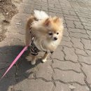 온양동물병원 이미지