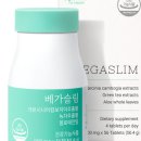 베가빌