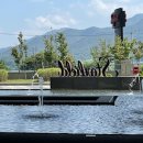 진일태권도 이미지