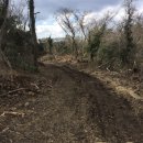 동광리-19 이미지