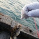 토도수산 이미지