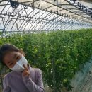 덕일농장 이미지