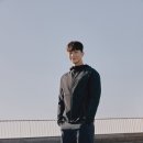 스테디스포츠