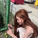 츠키츠키
