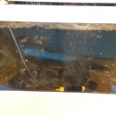 태종대회집 이미지