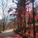 (주)대구우야지막창 이미지