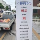 활어장수 이미지