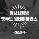 멍냥사랑방 이미지