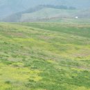 아름드리목장 이미지