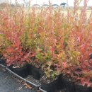 대열농장 이미지