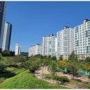 코뿔소공인중개사사무소 이미지