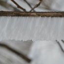 흥부골자연휴양림 이미지