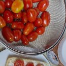 꿋꿋한농원 이미지