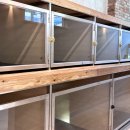 댕신나게 이미지