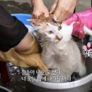 점순이 이미지